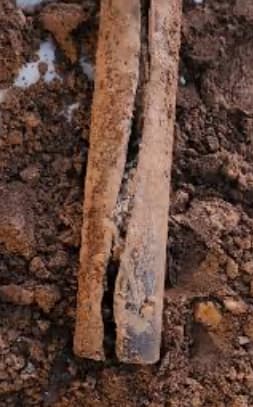 Sewer scope findings